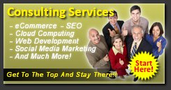 Consulting Services